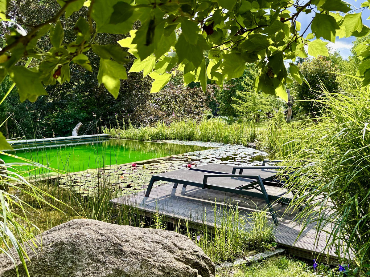 Naturteich im Garten von GartenGretel in Obergurig