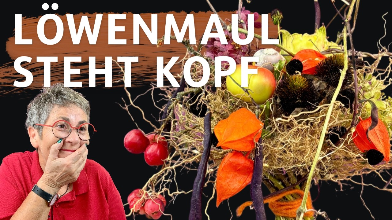 Löwenmaul steht Kopf – Video von GartenGretel